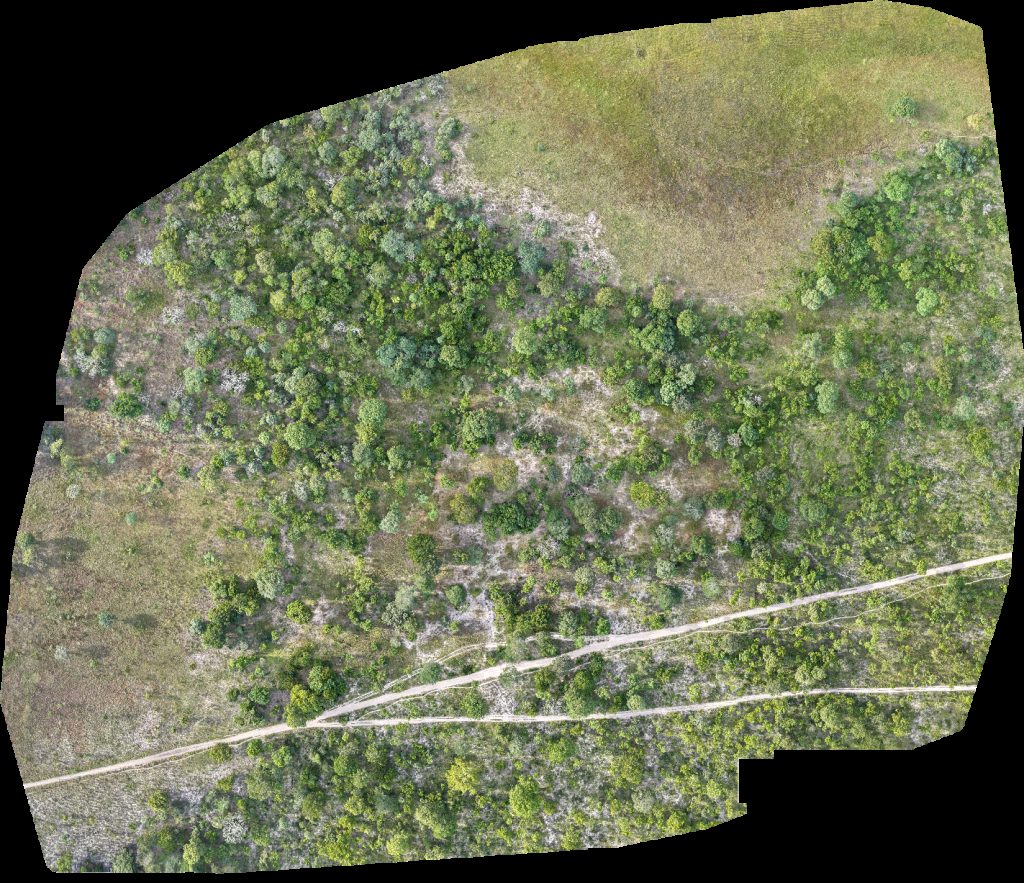 Comuna do Pedreira Chemboca