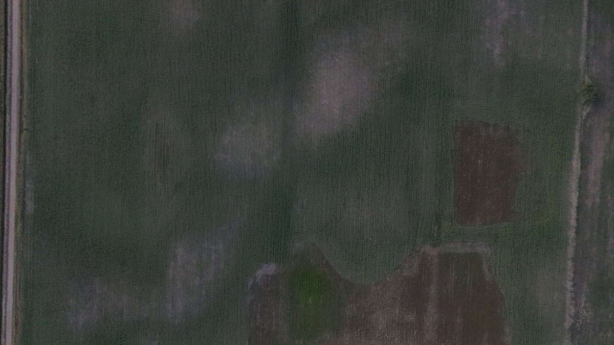 El RAVIOL casa campo Residencia Luna Bihurriet