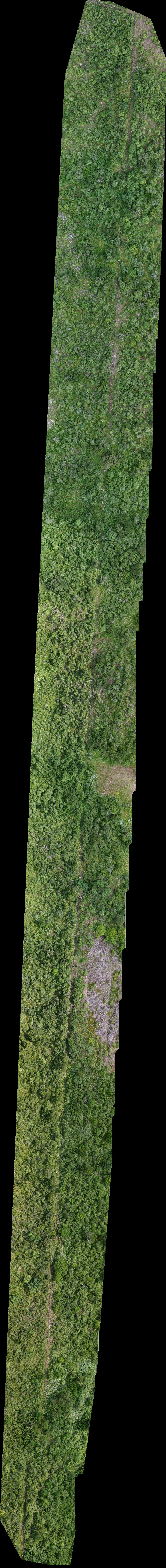 Monumento El Aguila Parque de entrenamiento Calistenia