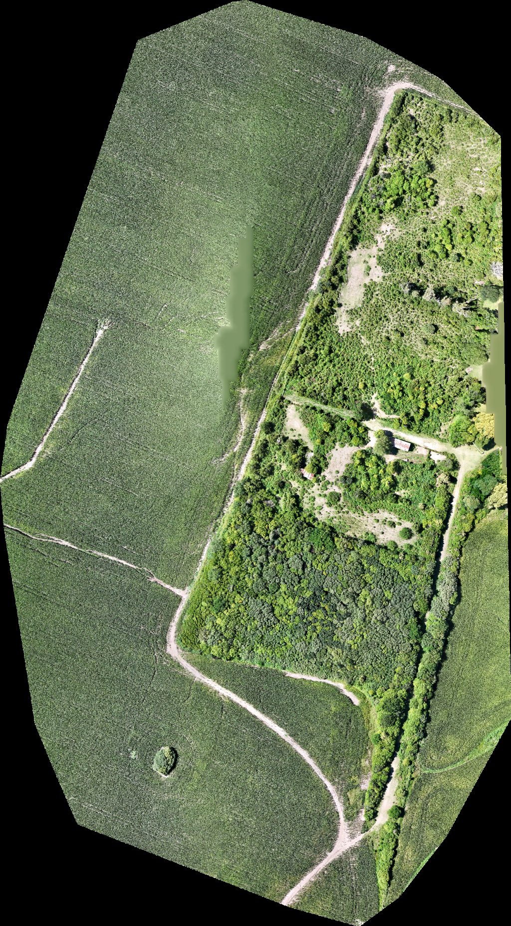 Villa Rosario Folmer S A Concesionario Oficial Ford