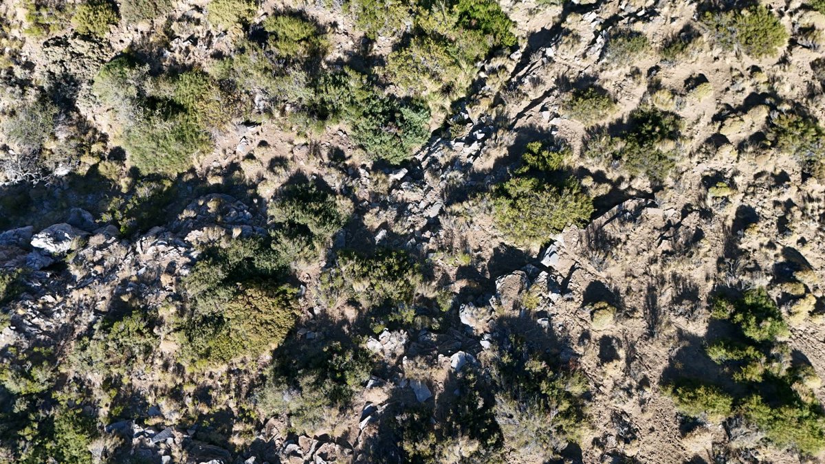 Escuela Primaria 71 Punto panorámico