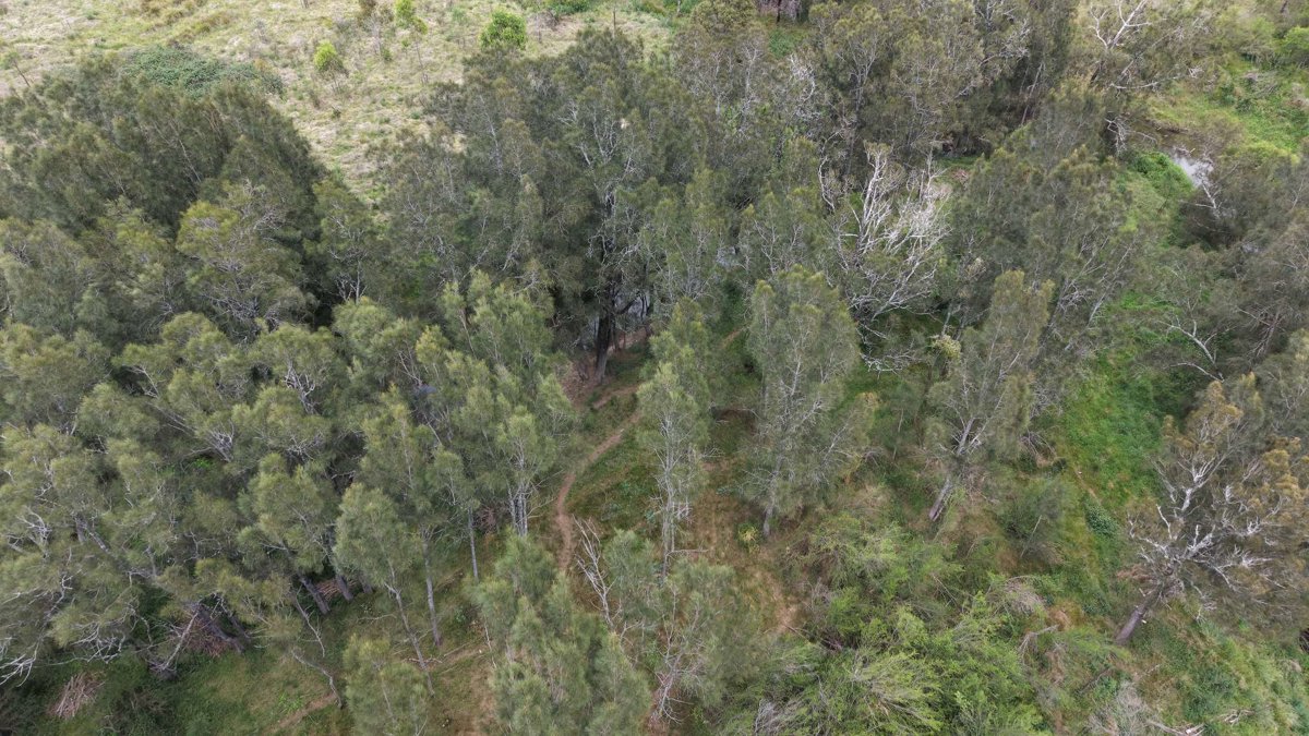 Yellow bridge WinTheForce