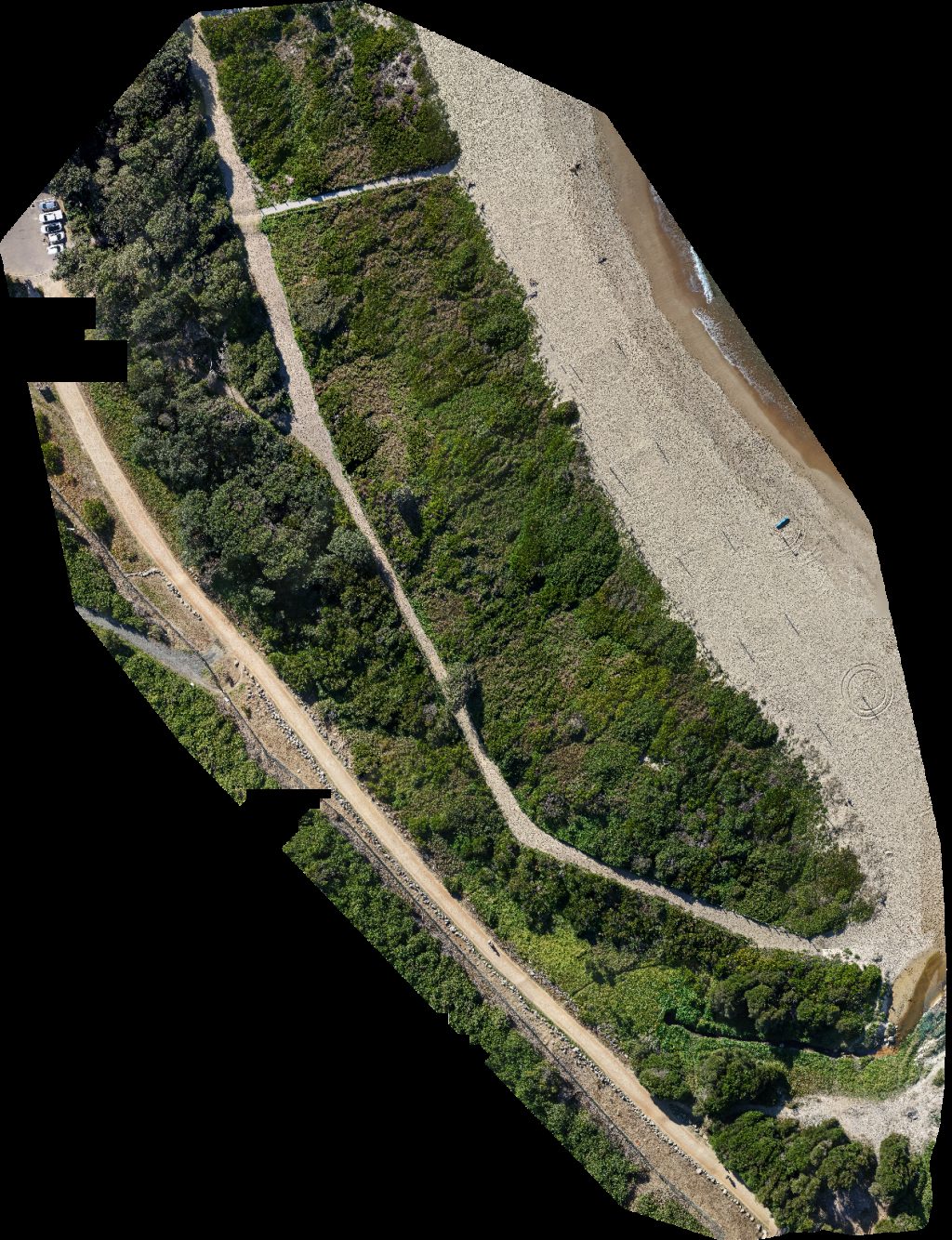 Beachvolleyball com au South Surf Life Saving Club