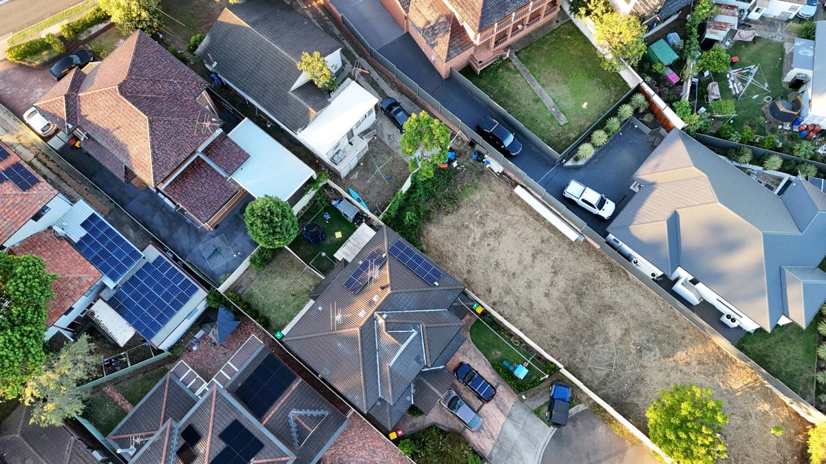 PrimeStrokes Painting A Dragonfly Importing Exporting Pty ltd