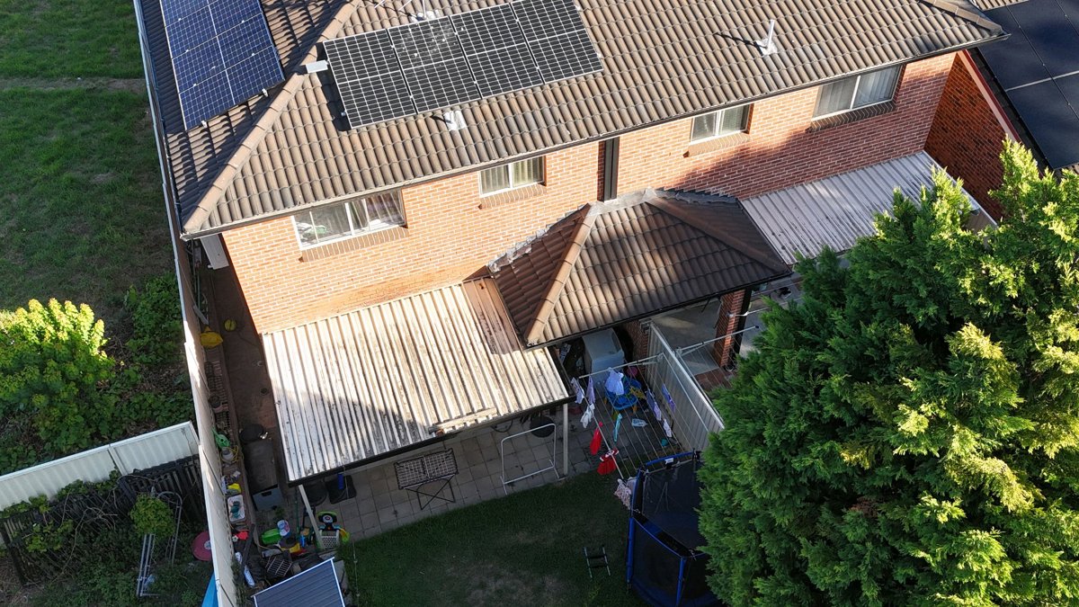 PrimeStrokes Painting A Dragonfly Importing Exporting Pty ltd