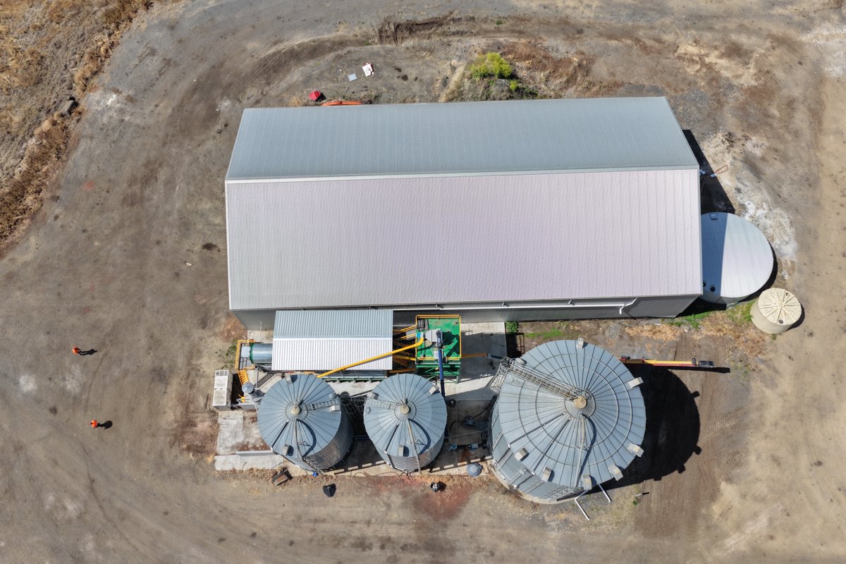 St Andrews Rabbit tree