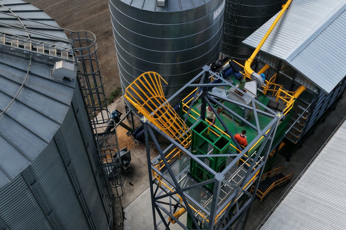 St Andrews Rabbit tree