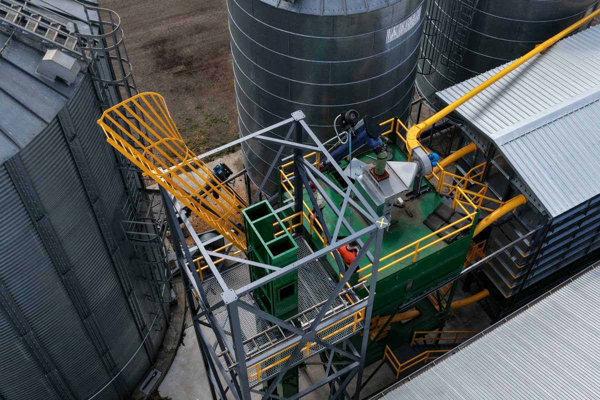 St Andrews Rabbit tree