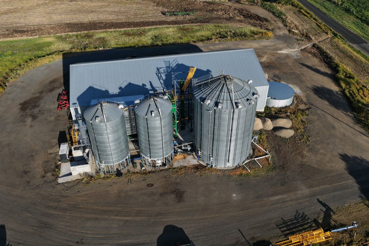 St Andrews Rabbit tree