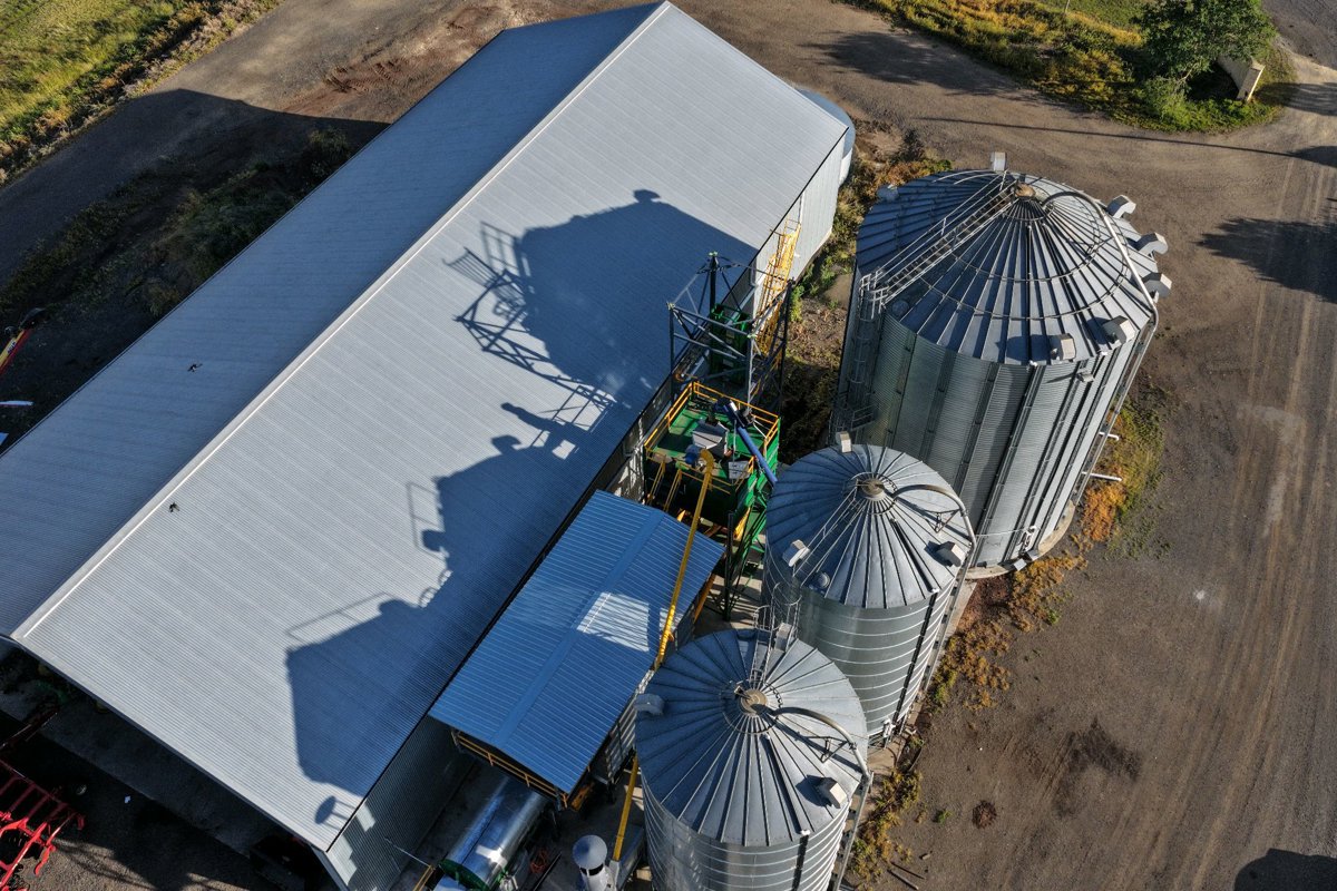 St Andrews Rabbit tree