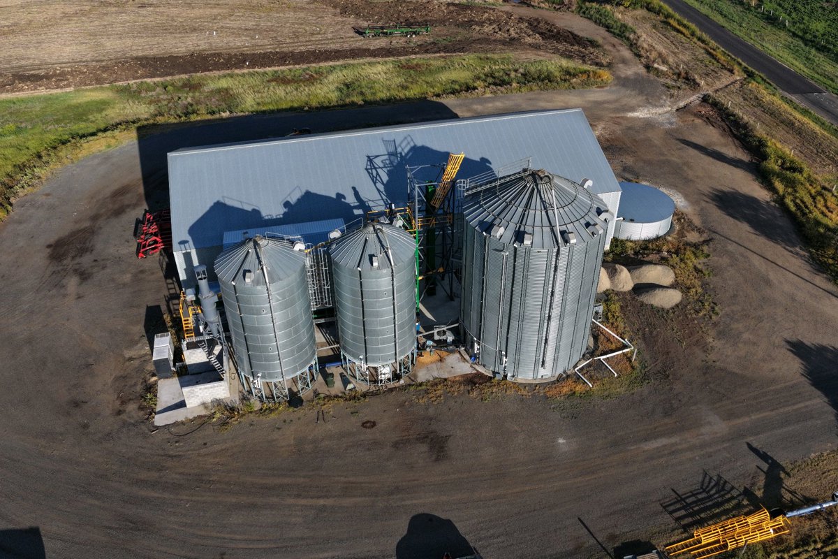 St Andrews Rabbit tree