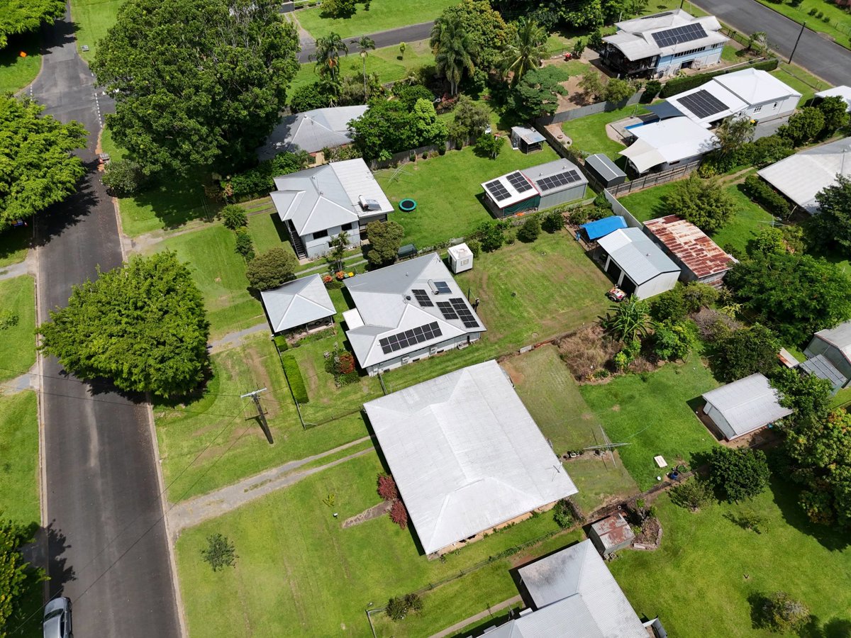 Thomas Trees Oils in the North