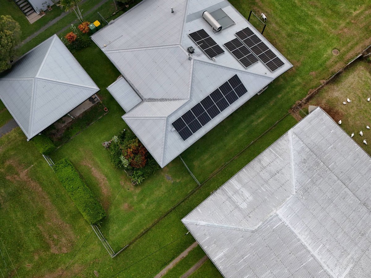 Thomas Trees Oils in the North