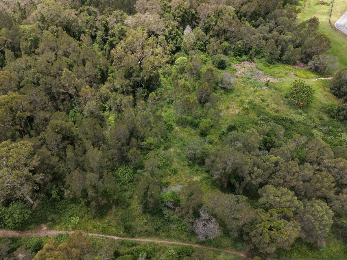 Kinections 17 Cassius Way Gold Coast