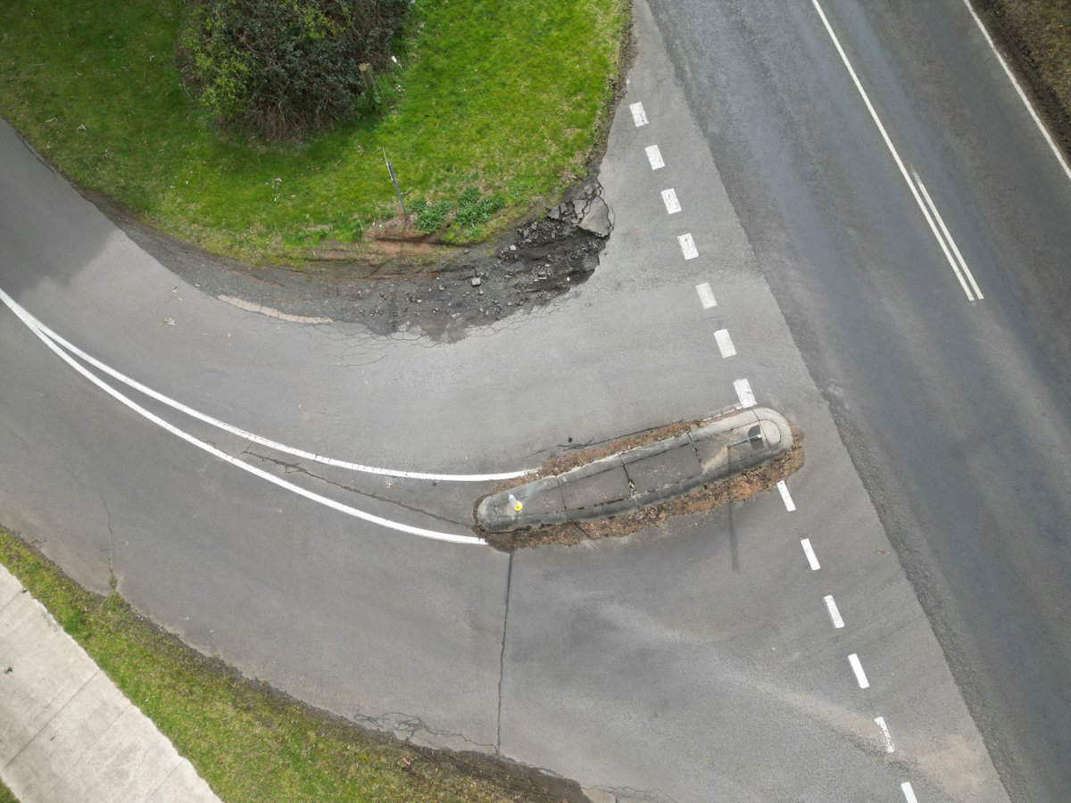 Raphael Guitars Natures Cure Pty Ltd