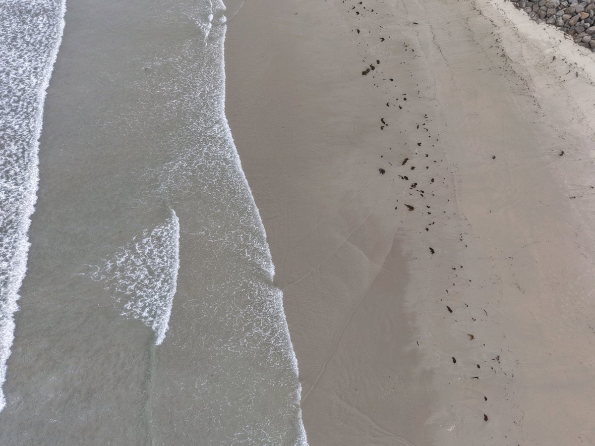 Main Surf Beach Australia Entire Two Storey 6 Bedroom House