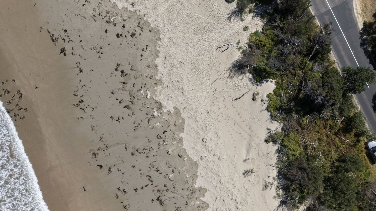 Main Surf Beach Australia Entire Two Storey 6 Bedroom House