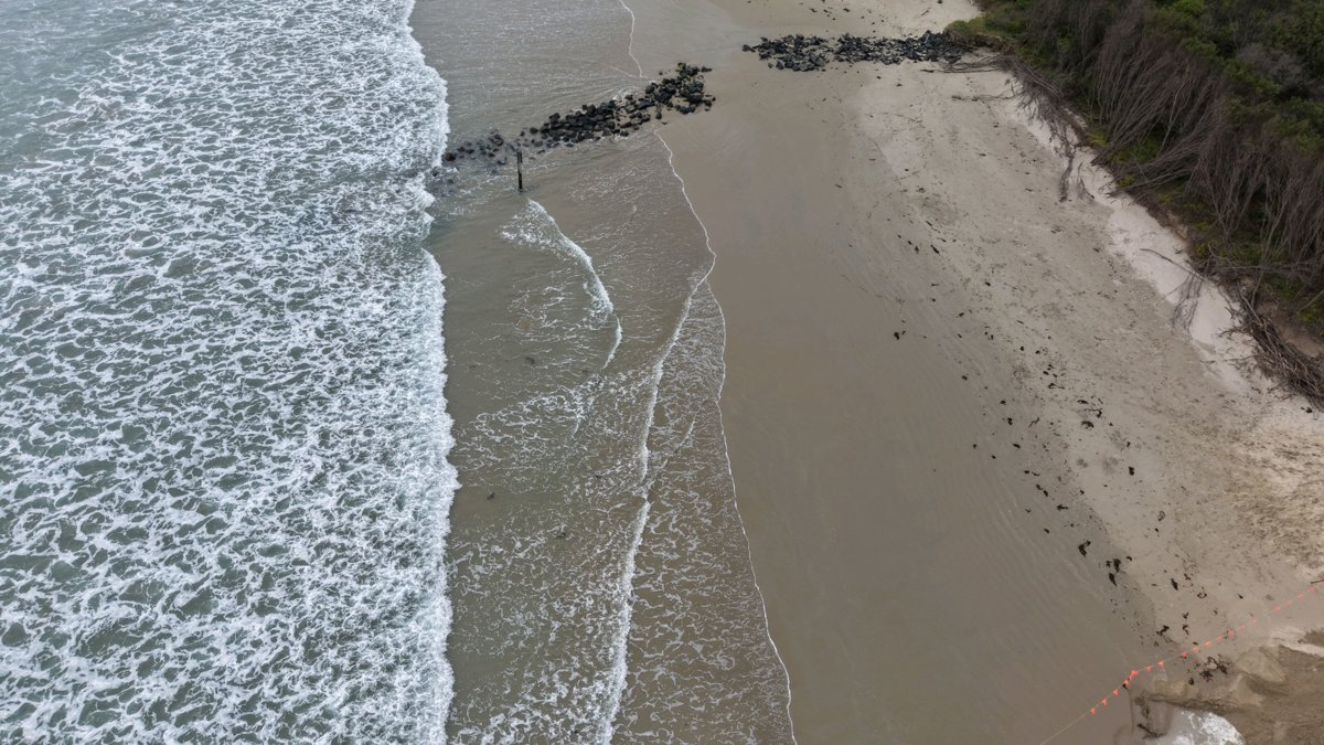 local Surf Club Invy Kiosk Surfside