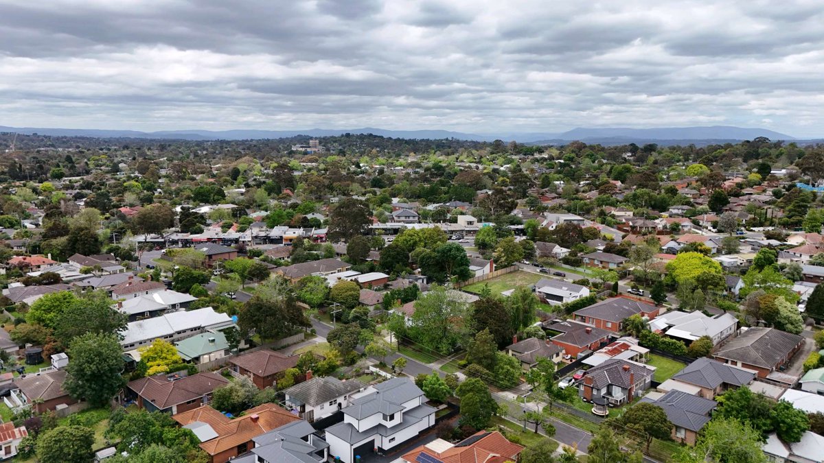 pingwozza Topwood Timber floor layers