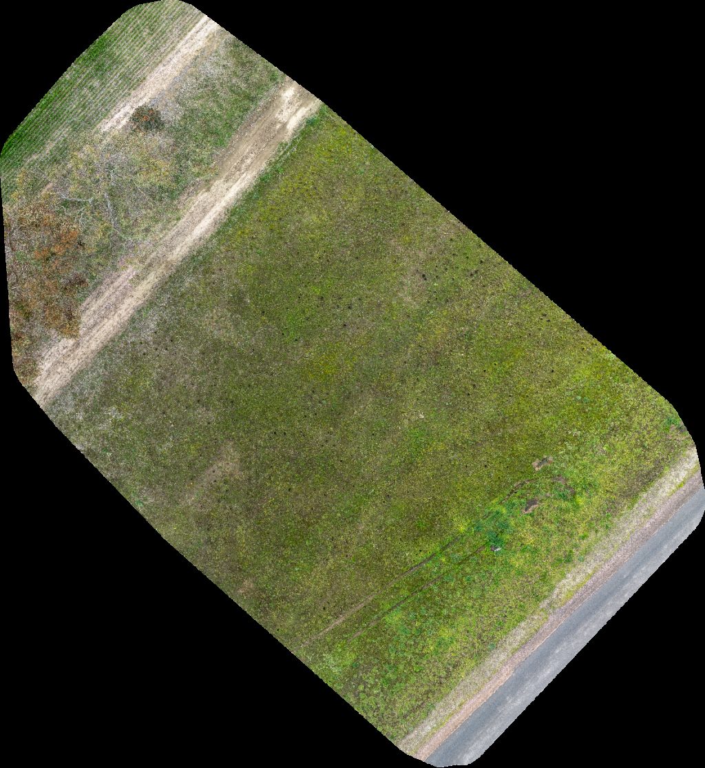 Connabar Estate Soldier Settlement Monument Recreation Reserve