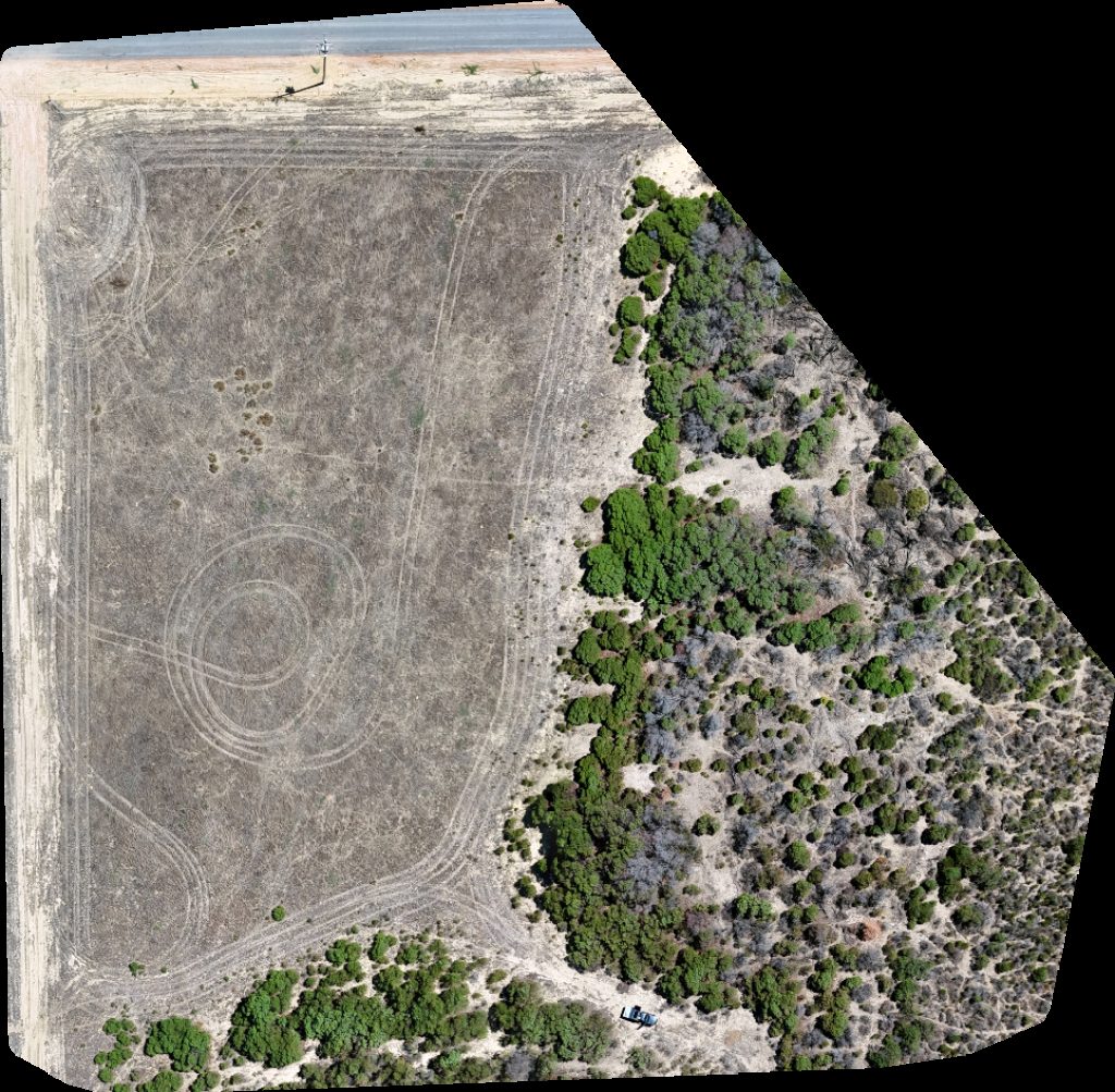 Summer Wattle Drive WA The Eurphoric Ewe