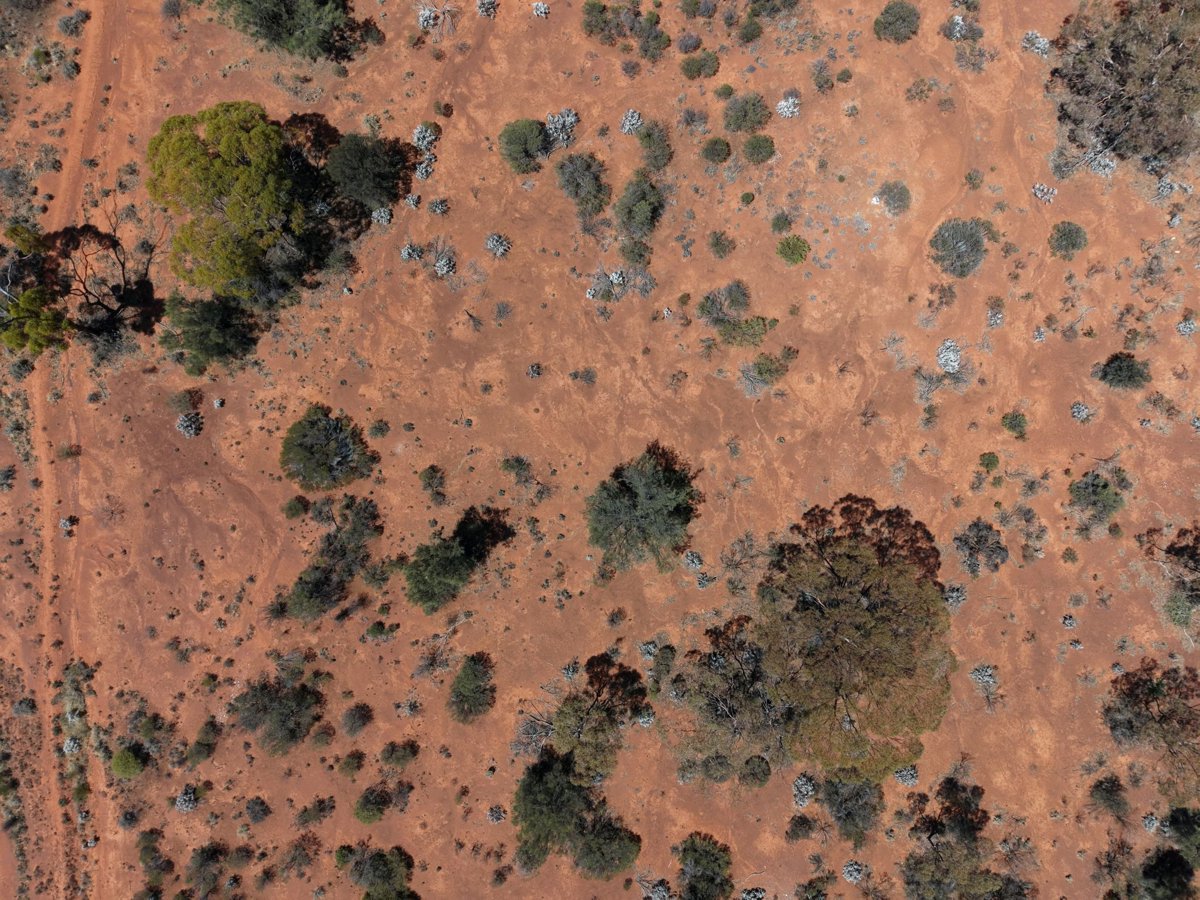 Brindy s Coffee Bar Kalgoorlie Boulder parkrun