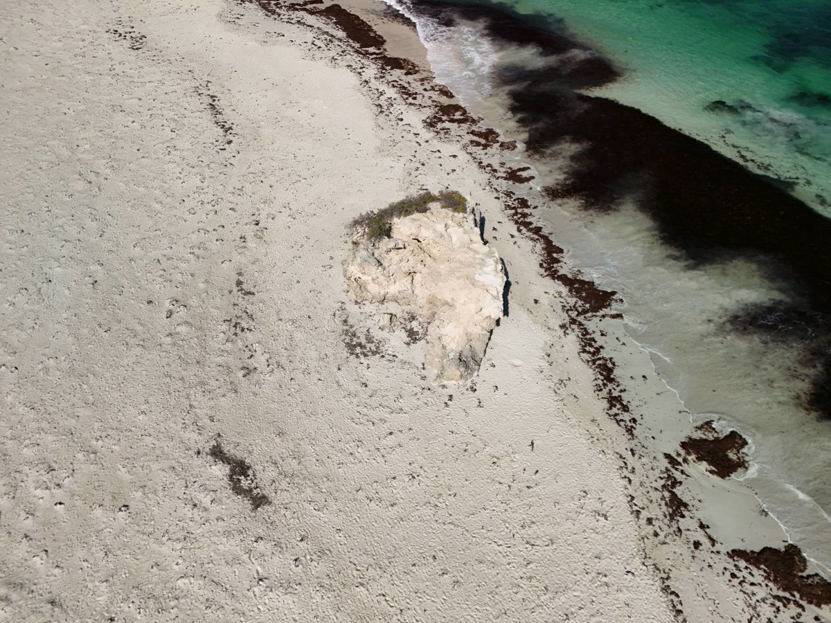 Wreck Point Leeman s Boat Landing