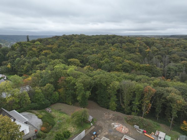 General Lighting Amazonia