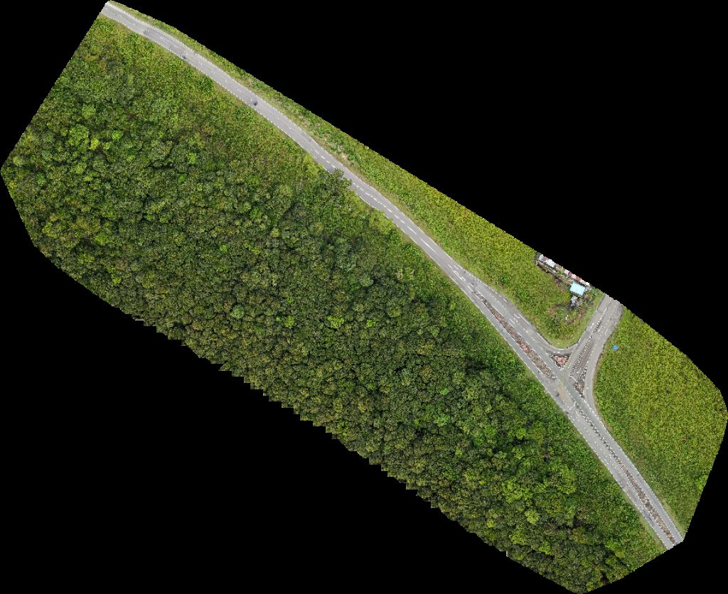 abdullah sahari Kedai Runcit Syarikat Haji Mohamed Alli bin Omar dan Anak