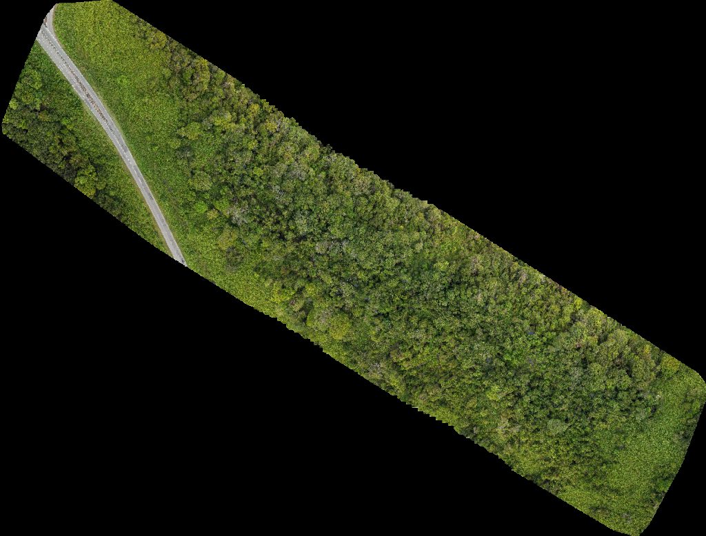 abdullah sahari SS BSP RASAU