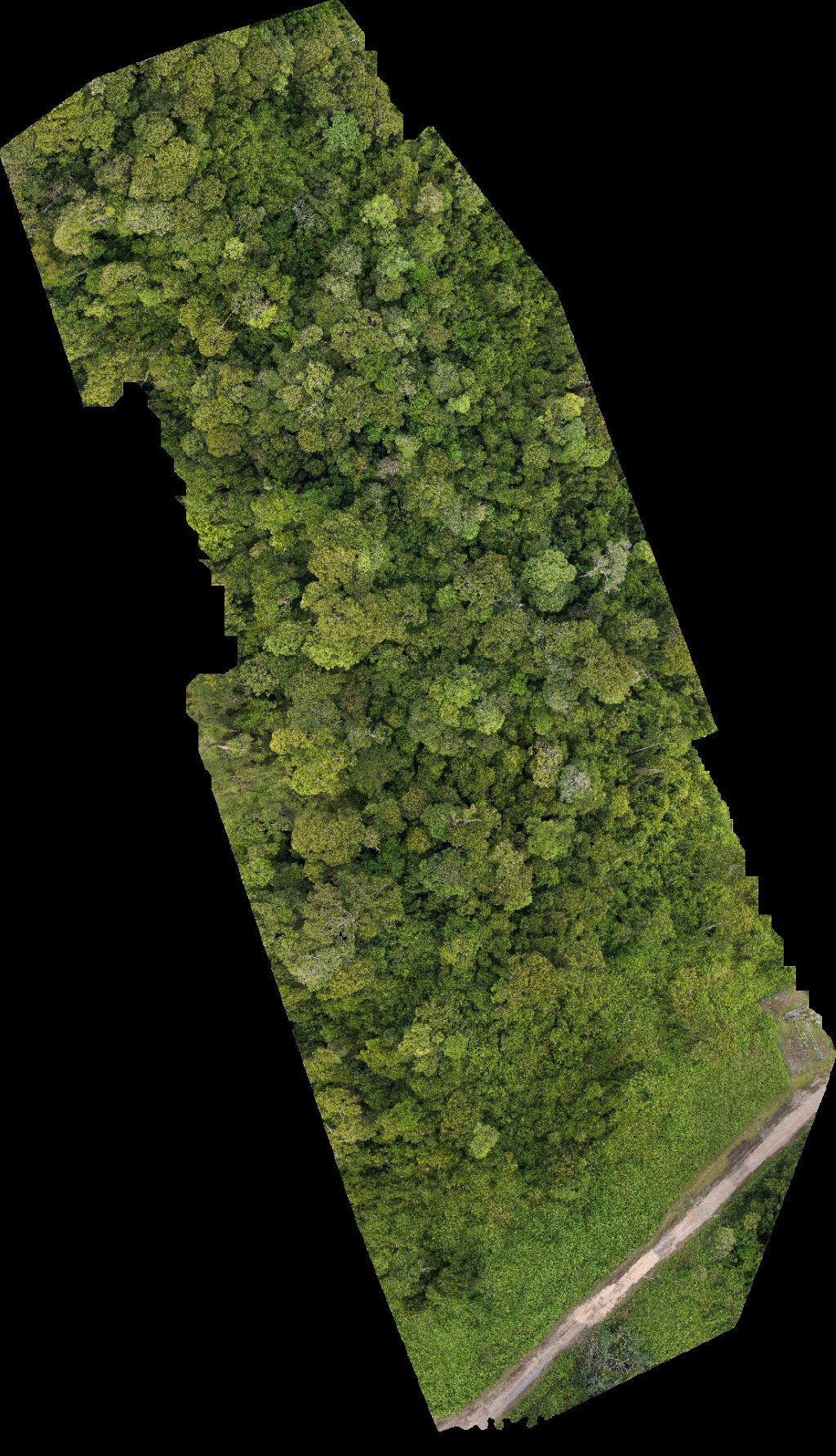 BSP Rasau Station SS