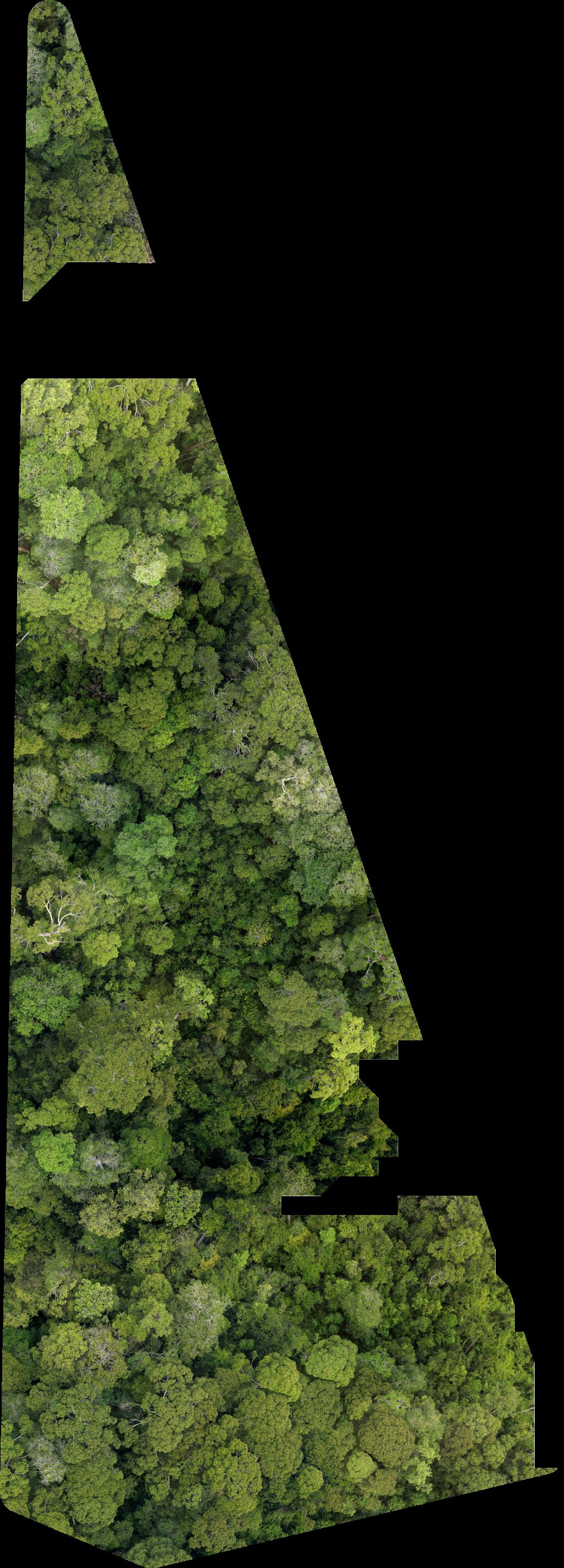 BSP Rasau Station SS