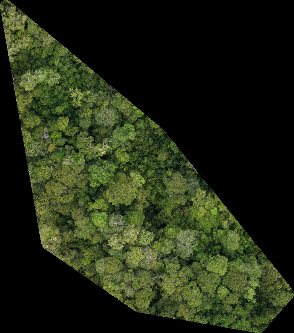 BSP Rasau Station SS