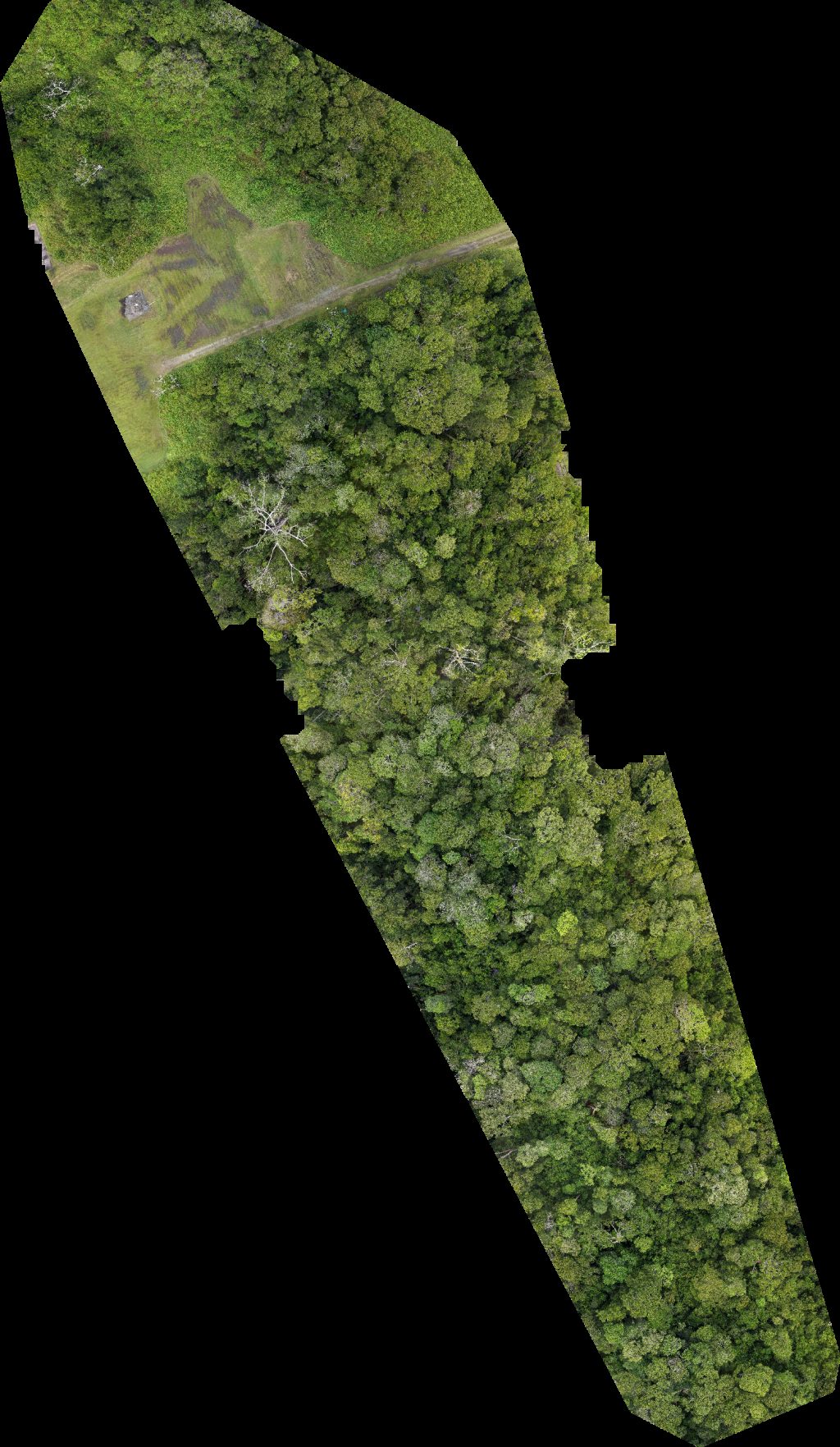 BSP Rasau Station SS