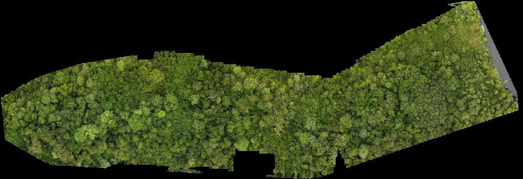 Sepakat Energy Services Sdn Bhd K Subsea