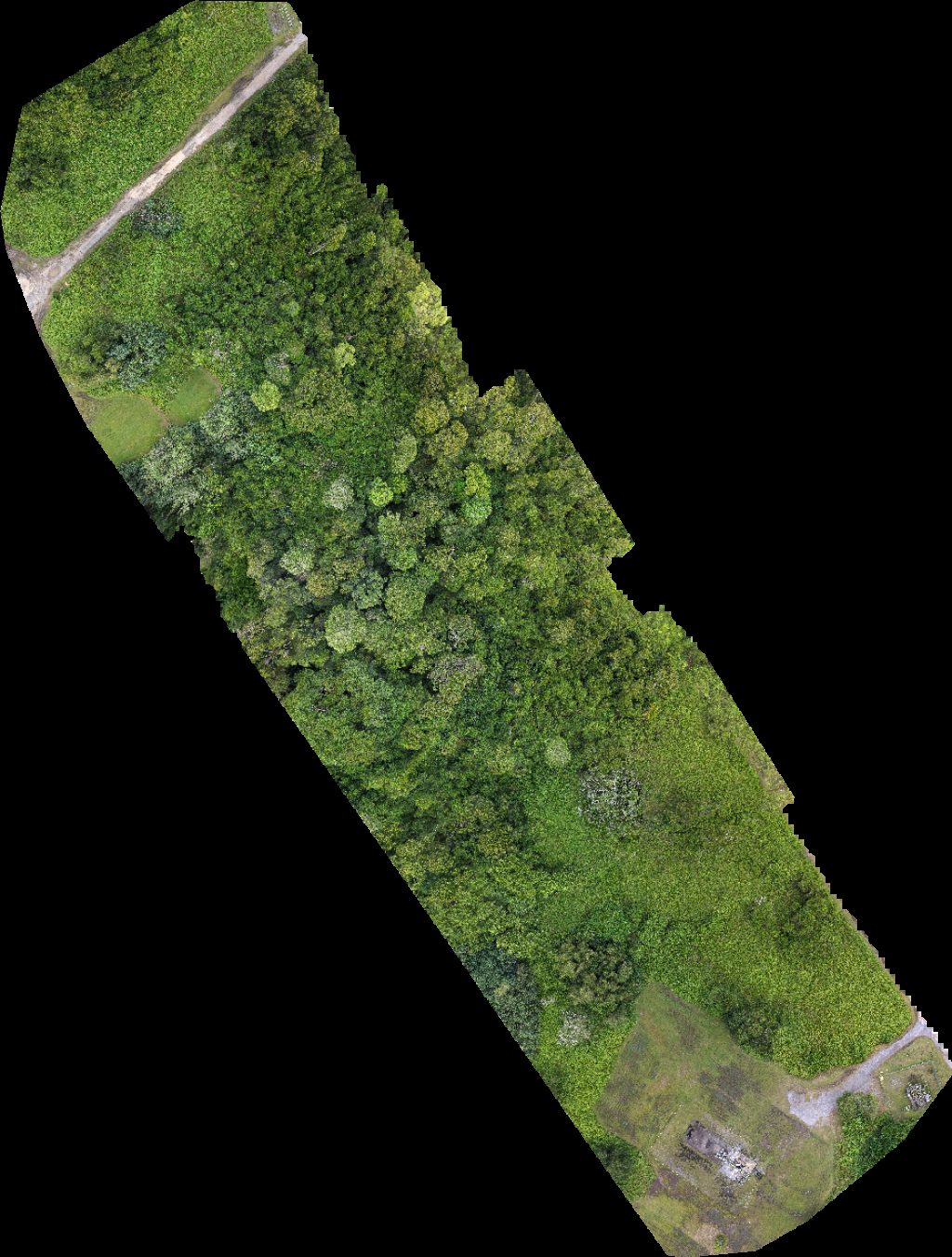 Ss mariam industrial park