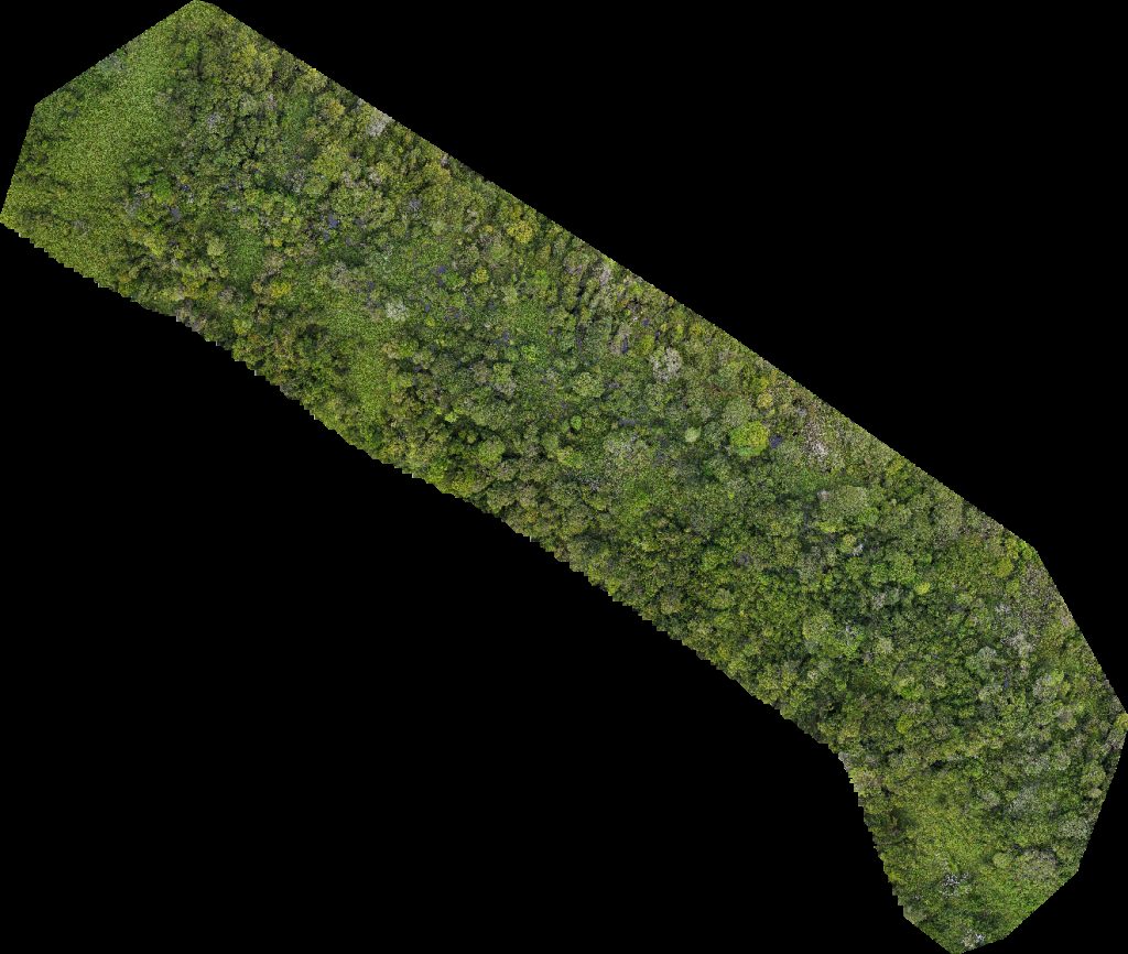 SS BSP RASAU Station