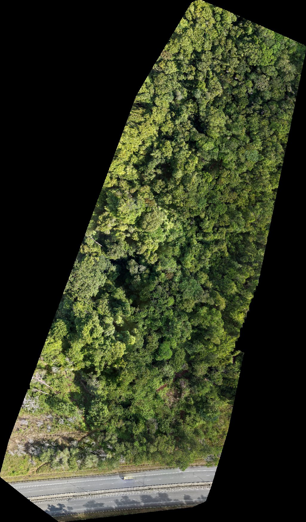 Bukit Lumut Sg Kang IMJ