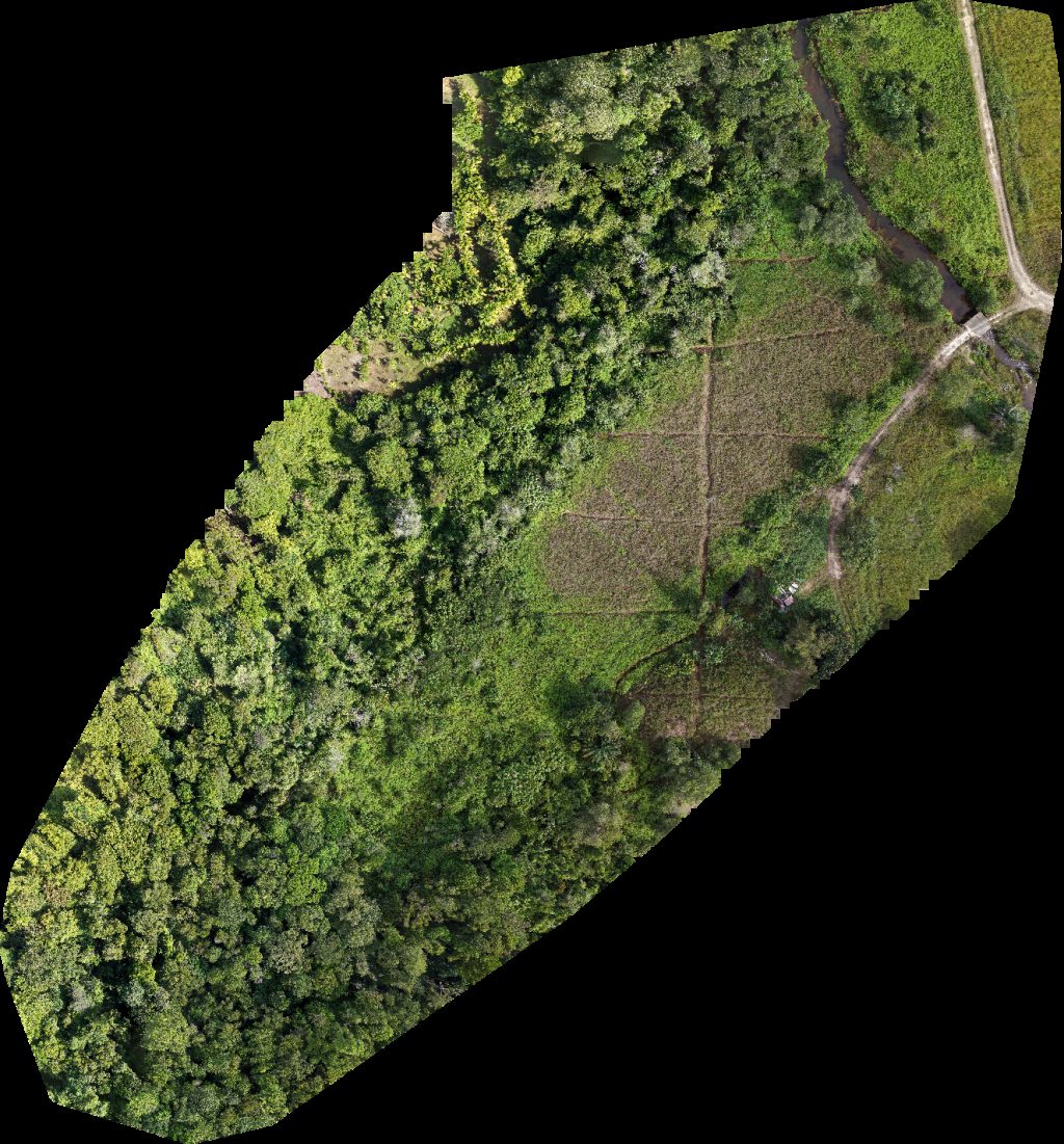 Sg Kang IMJ 善終 SZfuneral