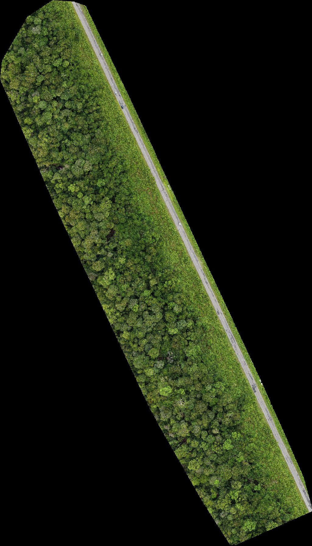 Asam Paya BSP Rasau Station