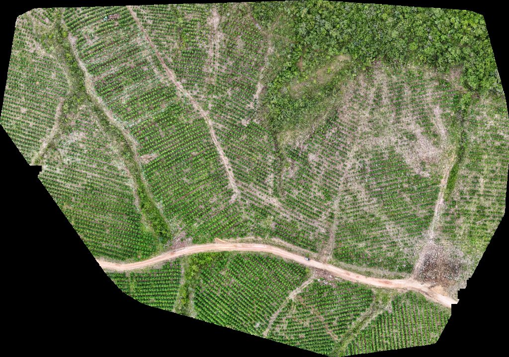 VP ECOPLANALTO FLORESTAMENTO Fazenda Bela Vista