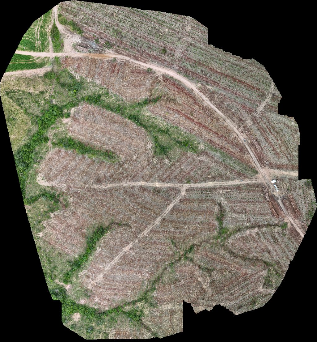 VP ECOPLANALTO FLORESTAMENTO Rancho Lambizame