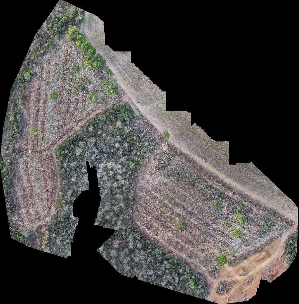 Fazenda Maringá Agropecuária Rampelotti Mariceu