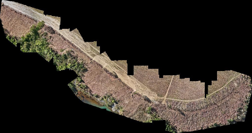 Fazenda Maringá Agropecuária Rampelotti Mariceu