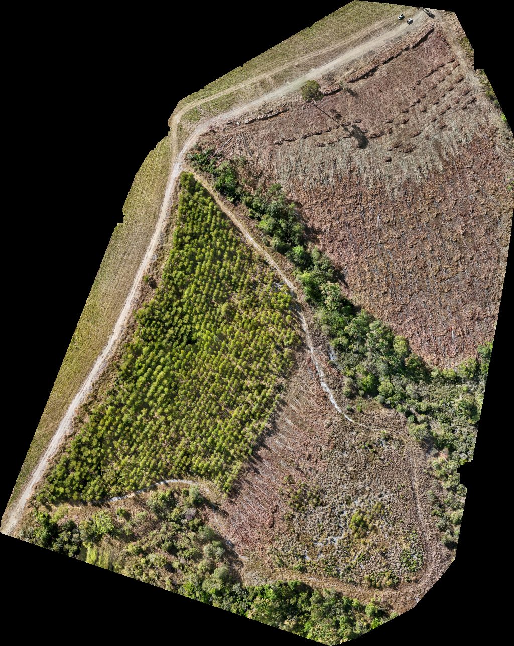 Fazenda Maringá Agropecuária Rampelotti Mariceu