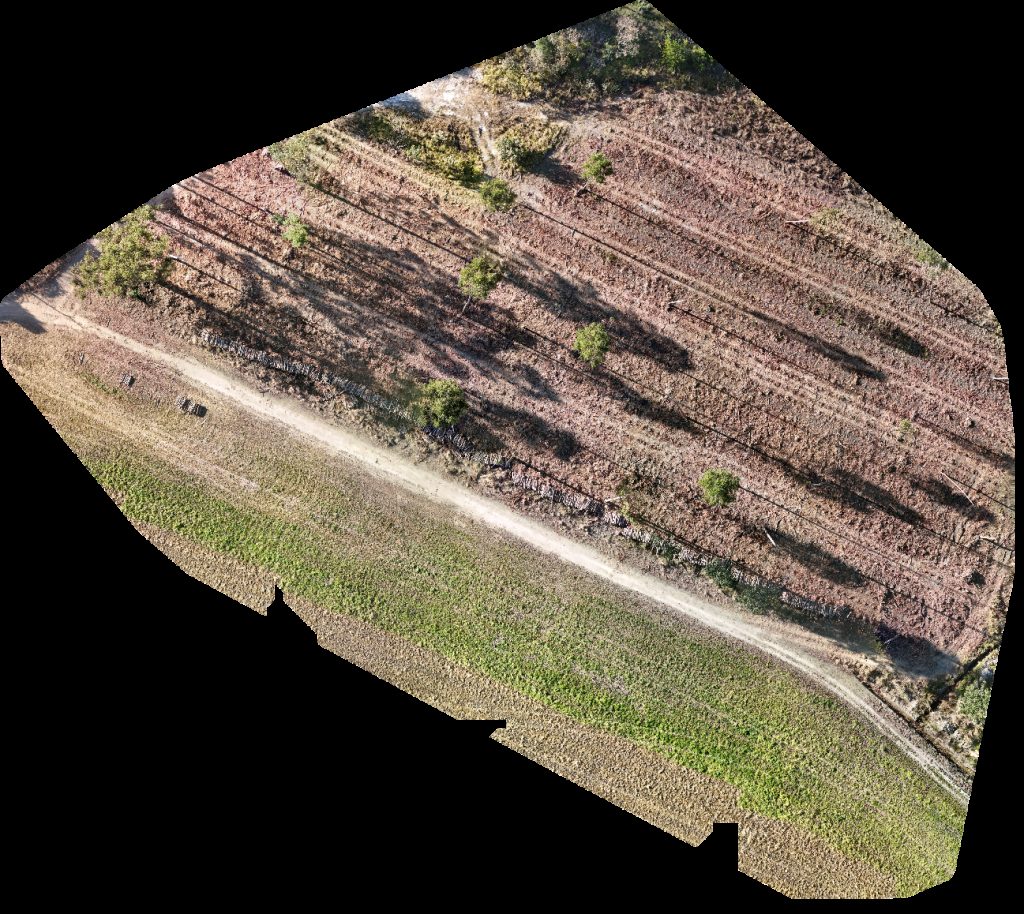 Fazenda Maringá Agropecuária Rampelotti Zezo
