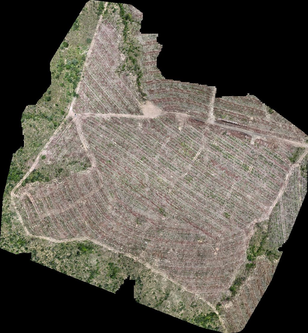 VP ECOPLANALTO FLORESTAMENTO Fazenda Bela Vista