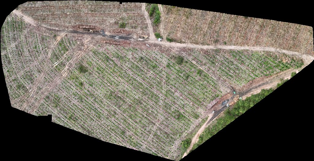 VP ECOPLANALTO FLORESTAMENTO Fazenda Bela Vista