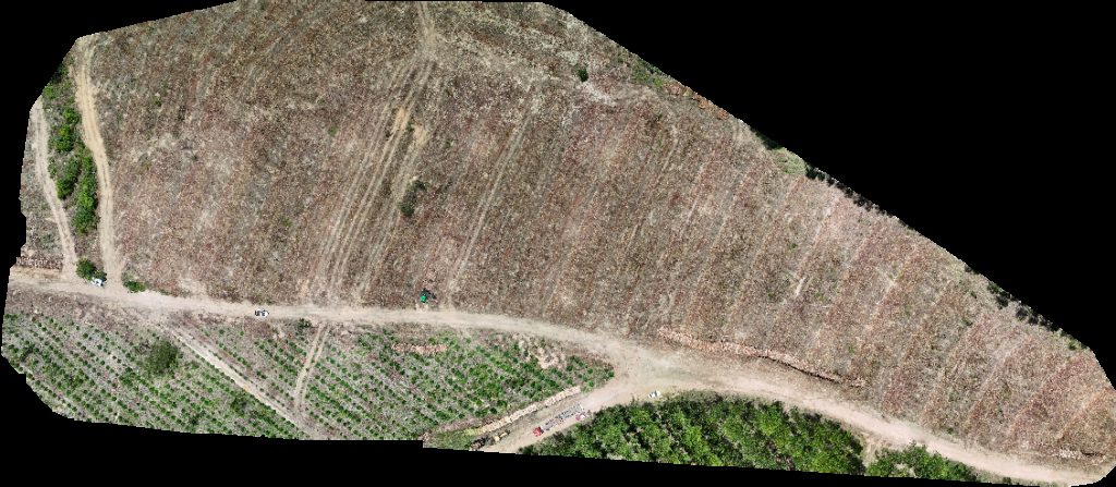 VP ECOPLANALTO FLORESTAMENTO Fazenda Bela Vista