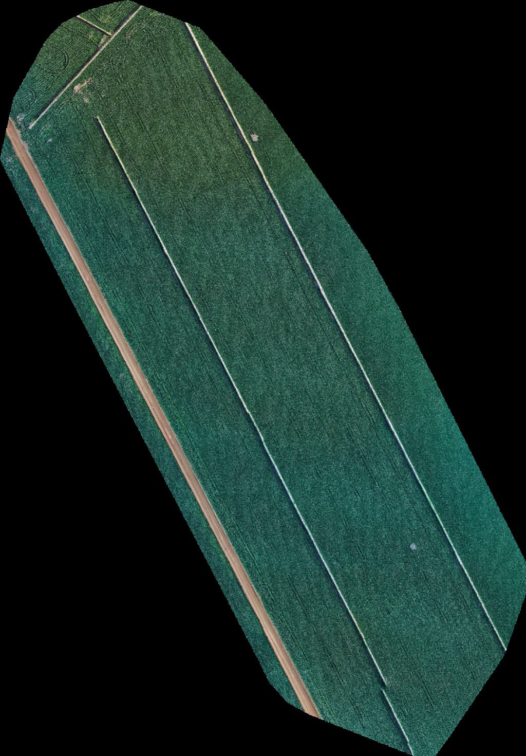 Fazenda Alves por sol